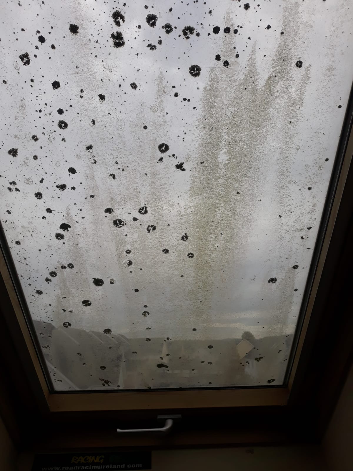 d9d5fac4-0324-4606-aad5-904cc0887b7a